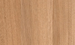 竹木纖維集成墻板廠家：竹木纖維集成墻面的種類